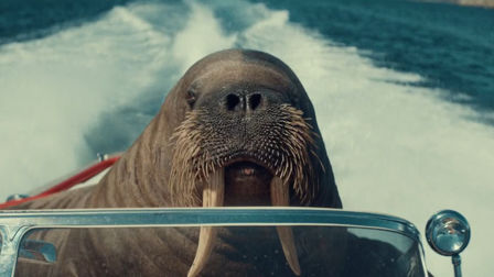 Virgin Media’s tusk-oriented sailor